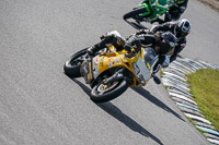enduro-digital-images;event-digital-images;eventdigitalimages;lydden-hill;lydden-no-limits-trackday;lydden-photographs;lydden-trackday-photographs;no-limits-trackdays;peter-wileman-photography;racing-digital-images;trackday-digital-images;trackday-photos
